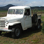 Matt Droege - 1951 Willys Truck