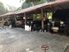 Willys M38 and M38A1 Collection