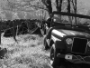 1967 M38A1 Jeep