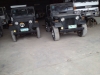 Romeo Dilig\'s Collection of Willys Jeeps