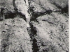 Spew Tracks 1956
