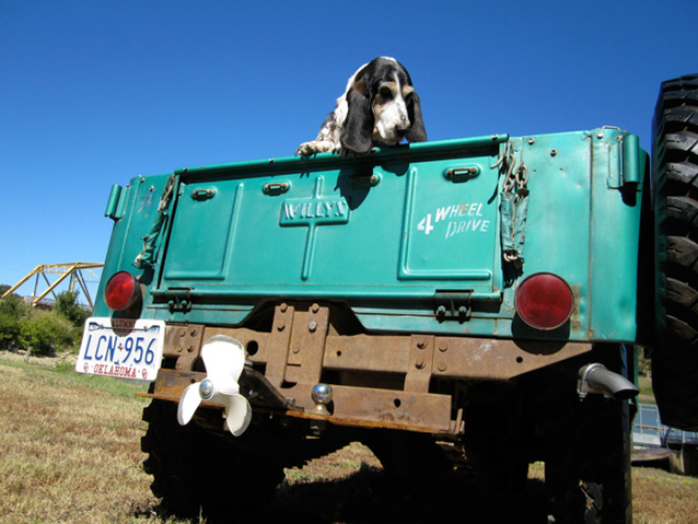 Larry Hammers' 1962 Willys CJ-5 Larry Hammers' 1962 Willys CJ-5