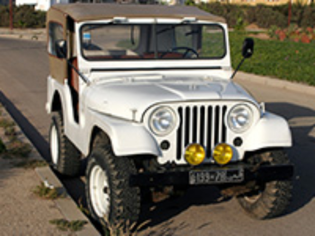 Bruno Frydman's Willys M38A1
