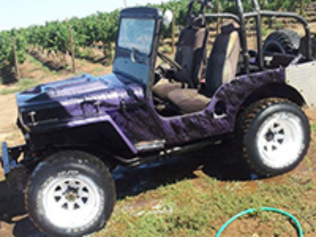 Ryan Mckinley Oliver's Willys CJ-3A