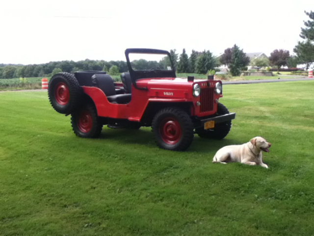 William Murray's 1957 Willys CJ-3B