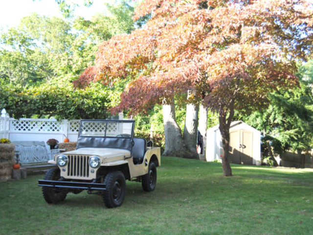 Mike La Shier's 1946 Willys CJ-2A