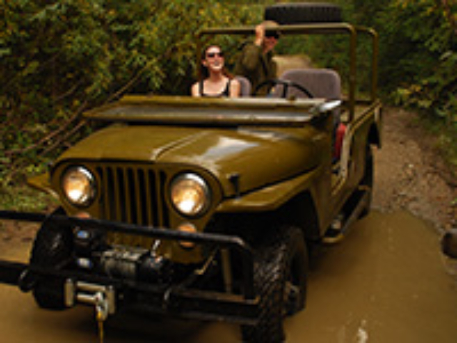 Stuart Brown - 1964 CJ-6