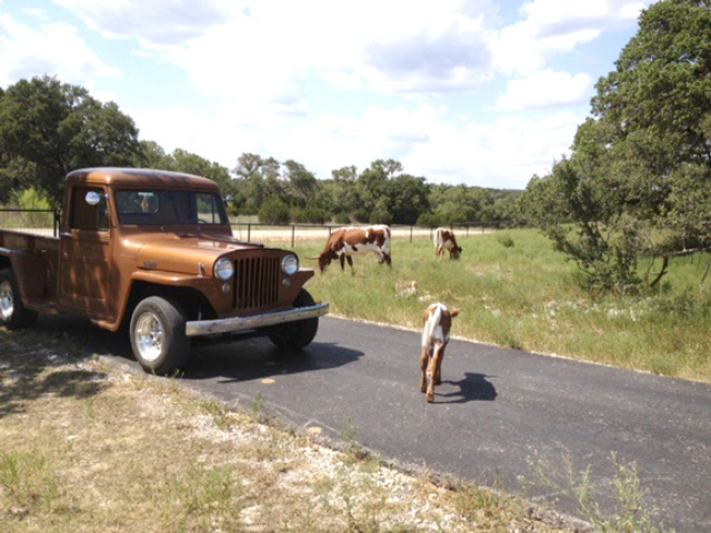 Ron Benton's 1949 Willys Truck