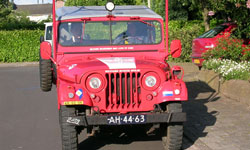 Henny Lechanteur - Nekaf M38A1 Netherlands Army Jeep