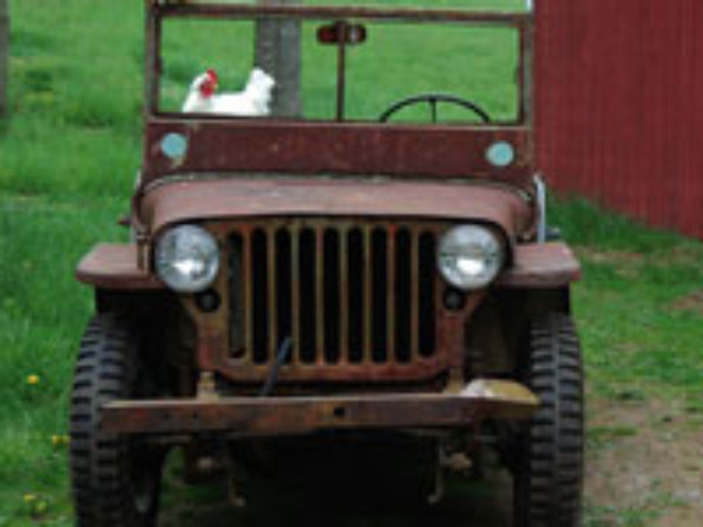 Robert Buhot - Ford GPW