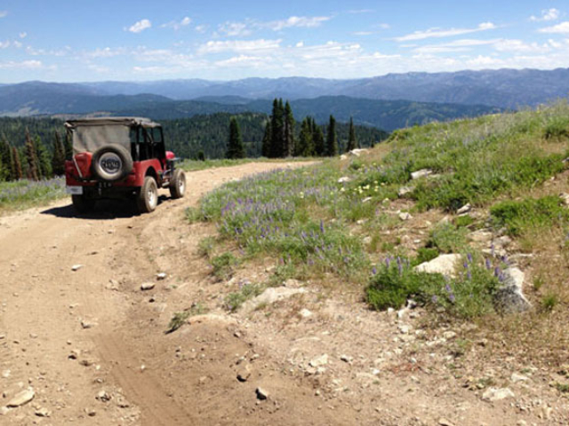 Mike McLain's 1946 Willys CJ-2A Mike McLain's 1946 Willys CJ-2A