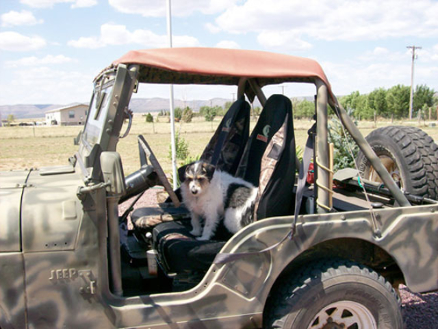 William Brooks' 1958 Willys CJ-5 William Brooks' 1958 Willys CJ-5
