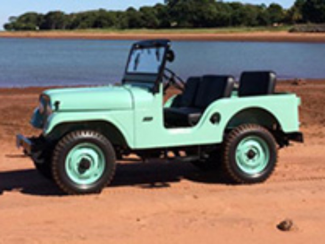 Jose Gilberto Alves Braga Jr. - 1959 Willys CJ-5