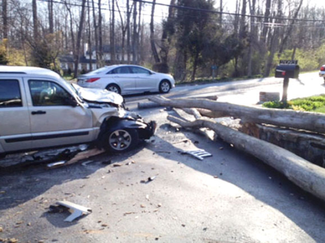 Peirce Eichelberger's 1956 Willys CJ-3B