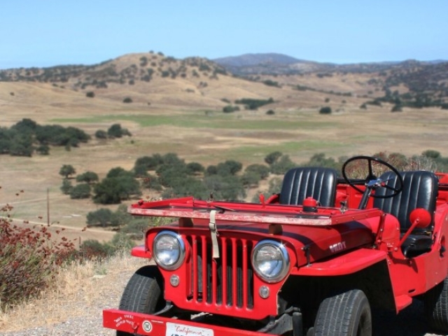 Brian Liesberg's 1950 Willys CJ-3A