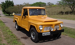 Paulo Wilson - 1975 Ford/Willys Brazilian Truck