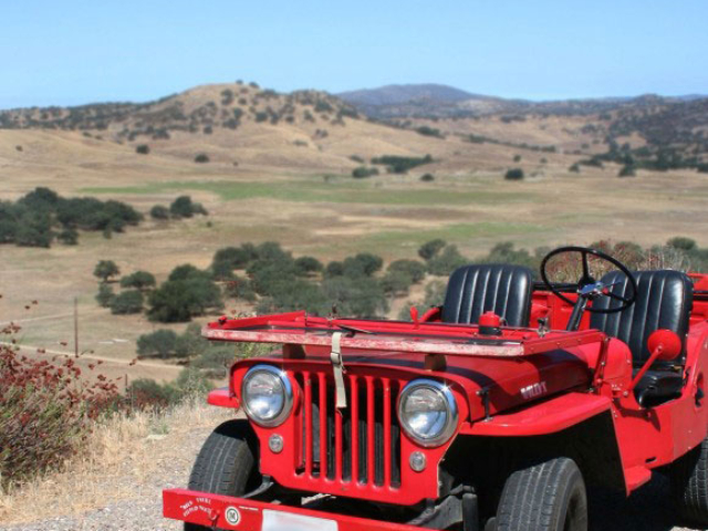 Brian Liesberg's Willys 1950 CJ-3A