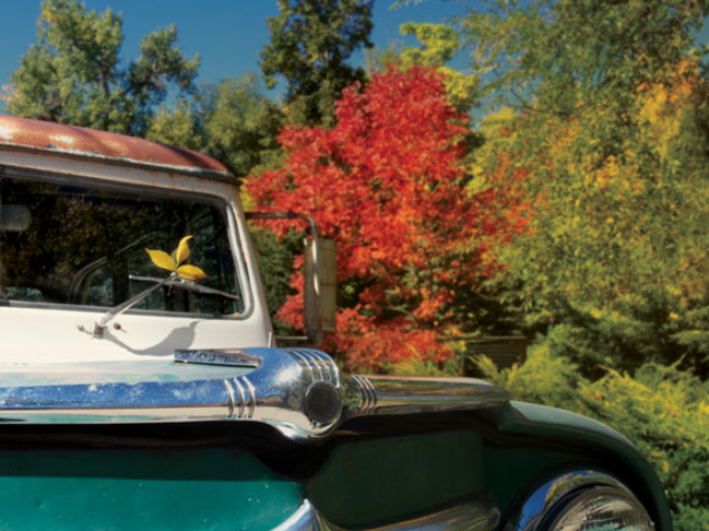 Erin King's Willys Station Wagon