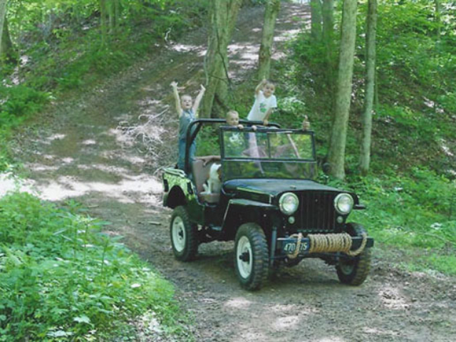 Greg and Karen Young's Willys Jeeps