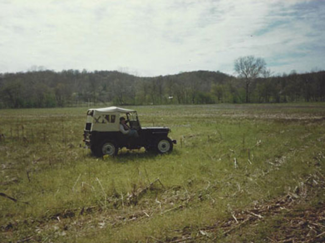 Greg and Karen Young's Willys Jeeps