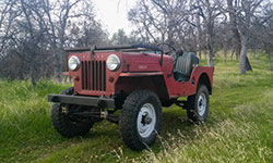 Brian Buswell's Willys CJ-B