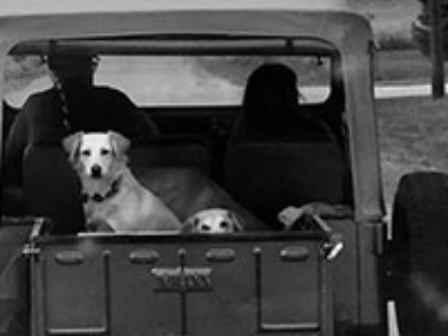 Kyle Peyton's 1957 Willys CJ-5 Kyle Peyton's 1957 Willys CJ-5