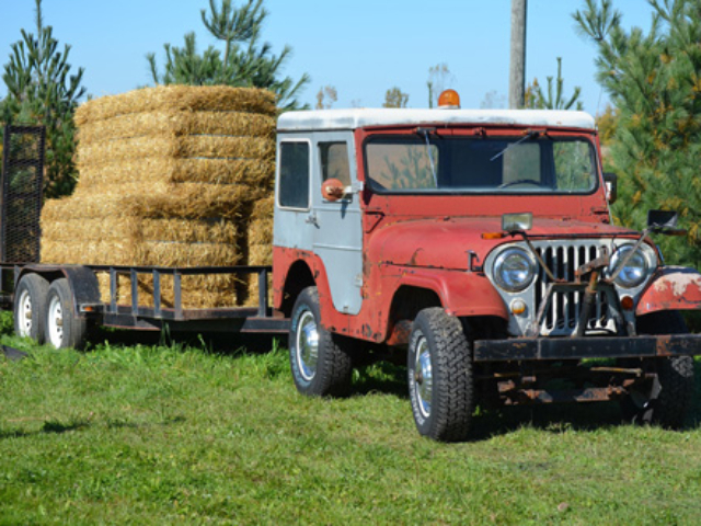 Ronald Rhode's 1966 CJ-5