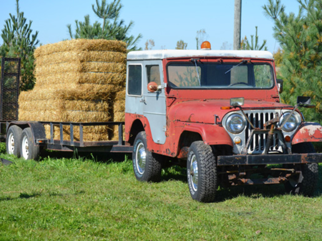 Ronald Rhode's 1966 CJ-5