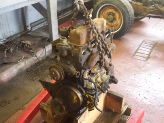 Nick Lupoli's 1961 Willys CJ-5