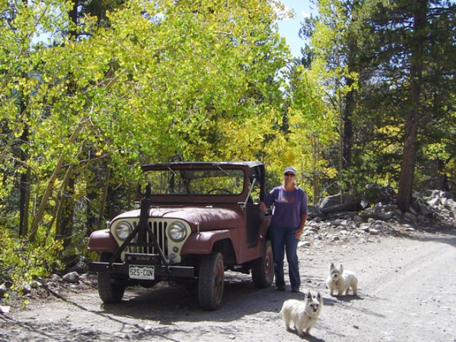 Jim Yadauga's 1962 Willys CJ-5