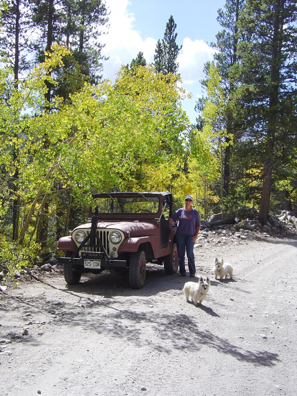 Jim Yadauga's 1962 Willys CJ-5