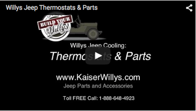 Thermostats & Parts