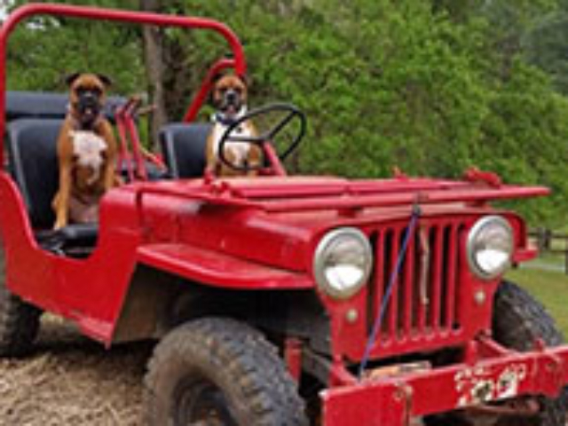 Sam Smith - 1948 Willys CJ-2A