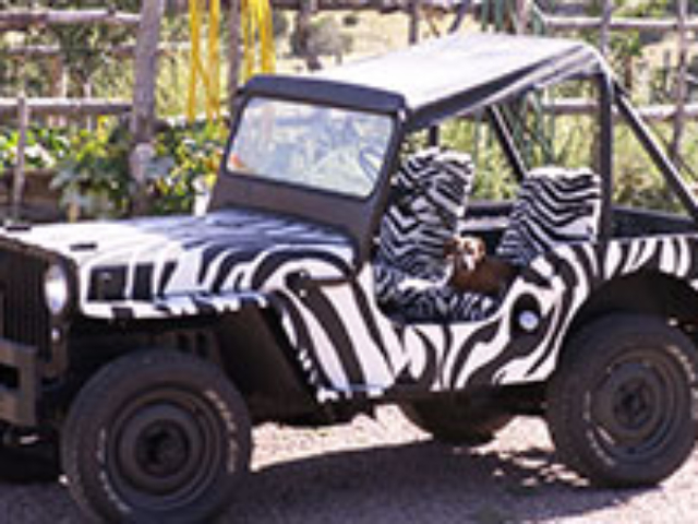 Dale Galarowicz - 1947 Willys CJ-2A