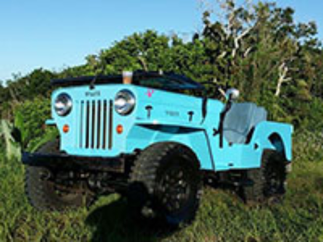 Gaver Rios - 1954 Willys CJ-3B