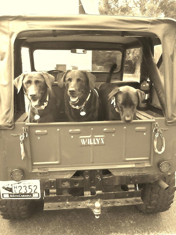 Dan Nagurney's 1953 Willys CJ-3B