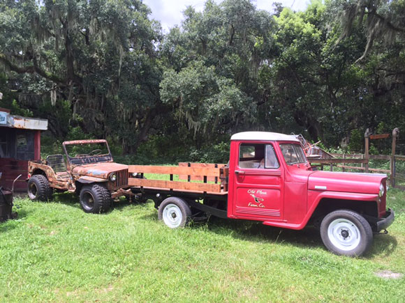 Yovani Crespo's 1948 Willys Truck