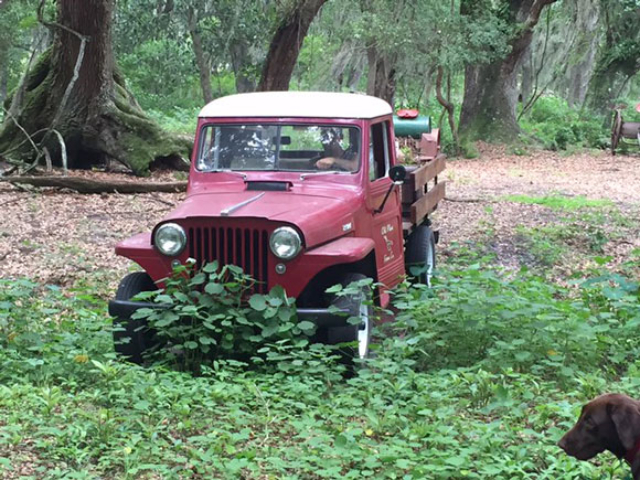 Yovani Crespo's 1948 Willys Truck