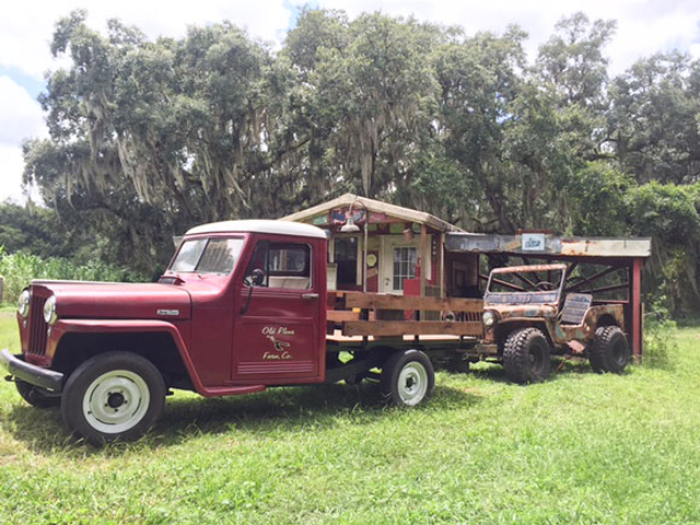 Yovani Crespo's 1948 Willys Truck