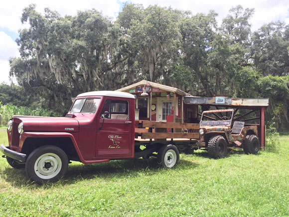 Yovani Crespo's 1948 Willys Truck