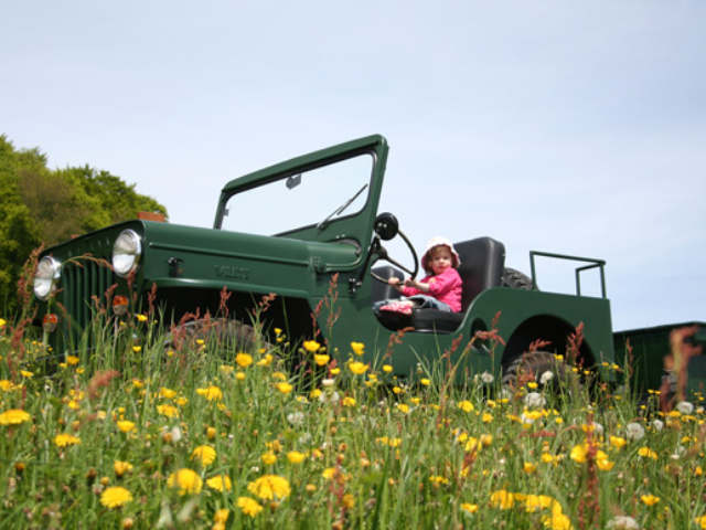 Denis Amiet's 1954 Willys CJ-3B and Trailer 1951
