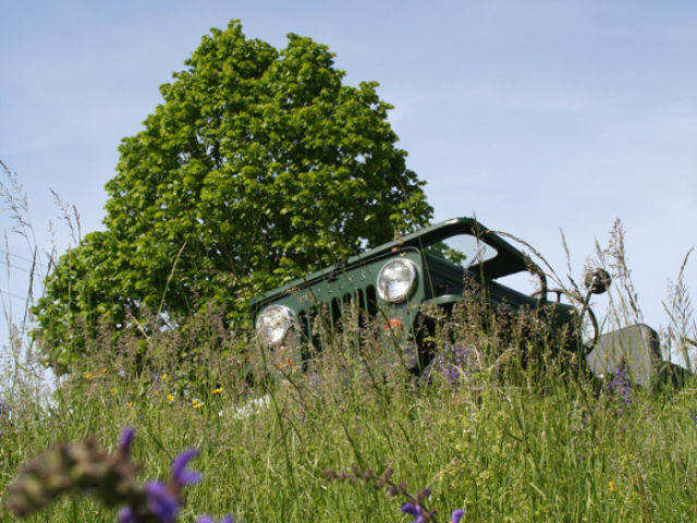 Denis Amiet's 1954 Willys CJ-3B and Trailer 1951