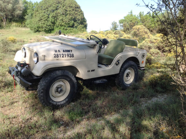 Gultekin Telgeren's 1965 CJ-5