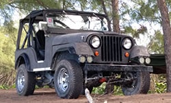 Gary Moore - 1963 CJ-5