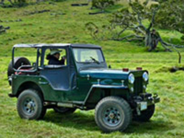 Jay Jackson - 1955 Willys CJ-3B