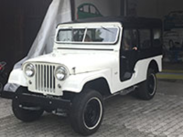 Philip Truelsen - 1961 CJ-6