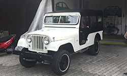 Philip Truelsen - 1961 CJ-6
