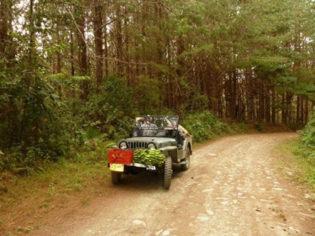 Nelson Gil's 1949 Willys CJ-2A