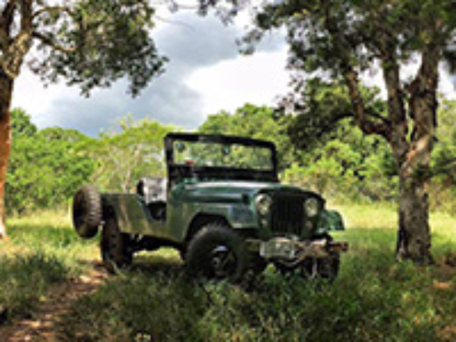 Guilherme Mayrhofer - CJ-6 Brazil