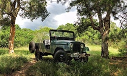 Guilherme Mayrhofer - CJ-6 Brazil